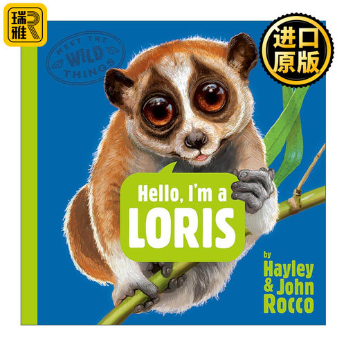 英文原版 Hello  I'm a Loris Meet the Wild Things 06 你好 我是懒猴 遇见野生动物系列6 儿童精装科普百科绘本 凯迪克银奖得主