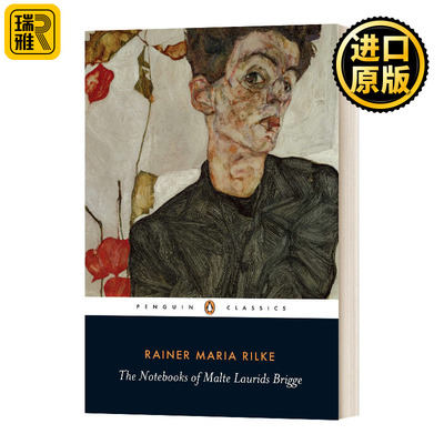 布里格手记英文原版小说