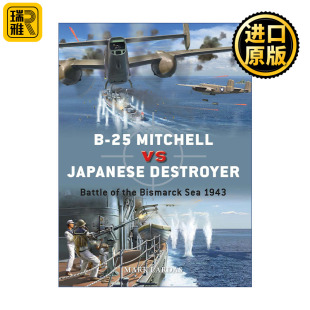 Mitchell Japanese 英文原版 25VS Destroyer 1943