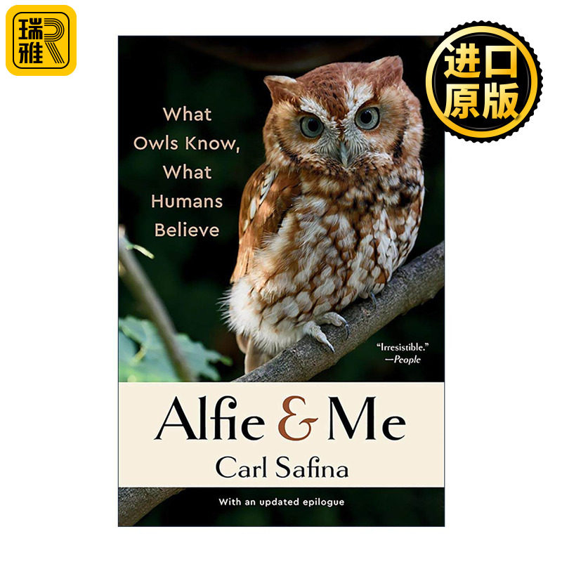 英文原版 Alfie and Me 阿尔菲和我 猫头鹰知道的和人类相信的 无言的呼唤作者卡尔·沙芬纳 英文版 进口英语原版书籍