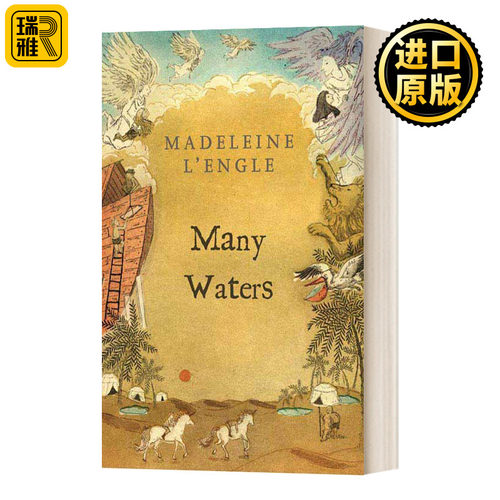 水灾进口英语原版书籍