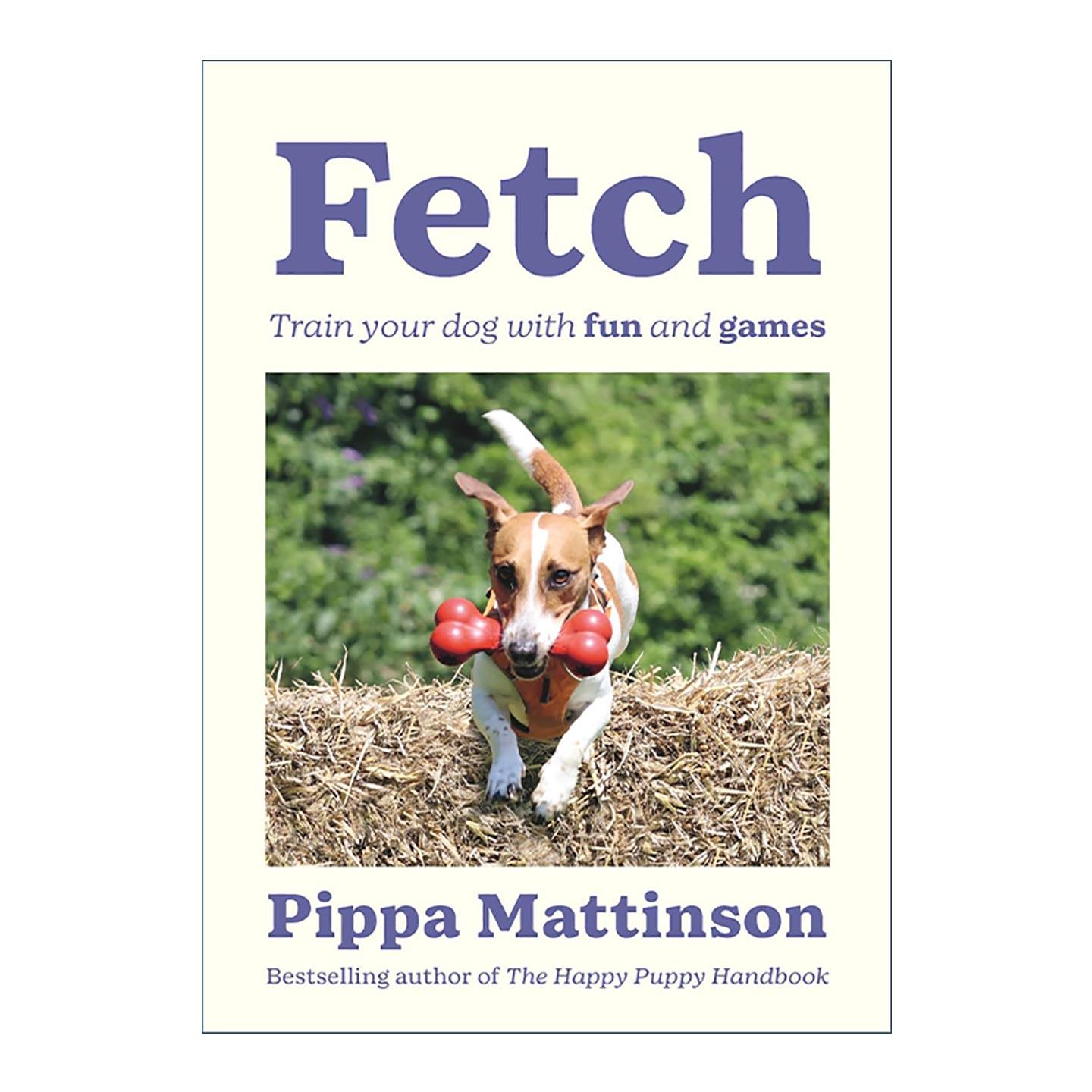 英文原版 Fetch 用趣味游戏训练你的狗狗 英文版 进口英语原版书籍