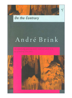 On The Contrary 对立面 南非作家安德烈·布林克长篇小说
