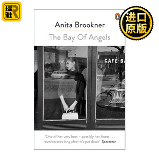 英文原版 The Angels Bay