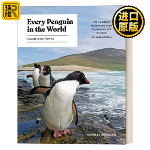 Penguin the World Bergman 英文原版 Charles Every