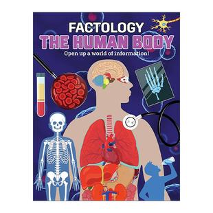 英文版 书籍 Human 事实学系列 精装 人体 The Body 进口英语原版 英文原版 儿童历史科普读物 Factology