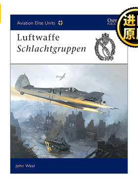 Luftwaffe Schlachtgruppen 德国空军地面攻击大队 航空精锐部队系列