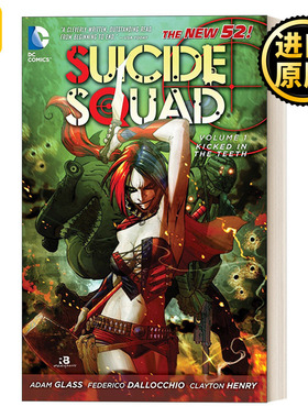 Suicide Squad Vol1 Kicked in the Teeth The New 52 DC 英文原版