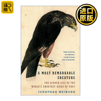 A Most Remarkable Creature 非凡的生物 世界上聪明猛禽的隐秘生活 Jonathan Meiburg