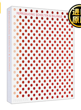 英文原版 Reproducing Scholten & Baijings Scholten & Baijings
