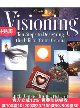 英文原版 Visioning 愿景 设计梦想生活的十个步骤 自我提升 艺术治疗师Lucia Capacchione 英文版 进口英语原版书籍
