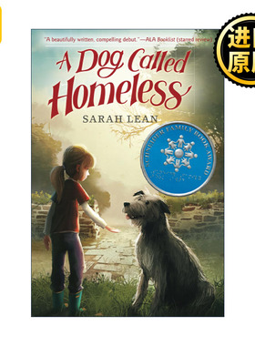 英文原版 A Dog Called Homeless 天蓝色的守护 动物与心灵成长故事 英文版 进口英语原版书籍