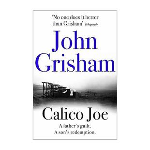 英文原版 Calico Joe 残垒 父子与救赎 约翰·格里森姆 John Grisham 英文版 进口英语原版书籍