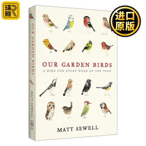 Our Garden Birds 我们花园里的鸟 鸟类科普绘本 马特·休厄尔 精装 Matt Sewell