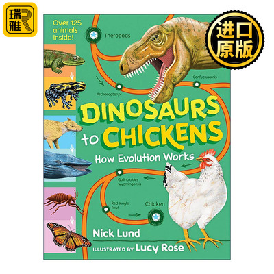 英文原版 Dinosaurs to Chickens 从恐龙到鸡 进化是如何运作的 精装 生物进化过程科普读物 英文版 进口英语原版书籍