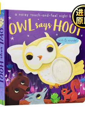 现货 Owl Says Hoot 猫头鹰 触摸发声书 英文原版 Amanda Enright 全英文版进口原版英语书籍