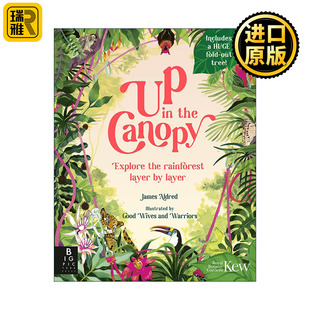 Up in the Canopy 树冠上的风景 逐层探索雨林 邱园英国皇家植物园联合出版 儿童精装科普百科绘本