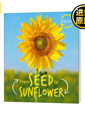 Lifecycles Seed to Sunflower