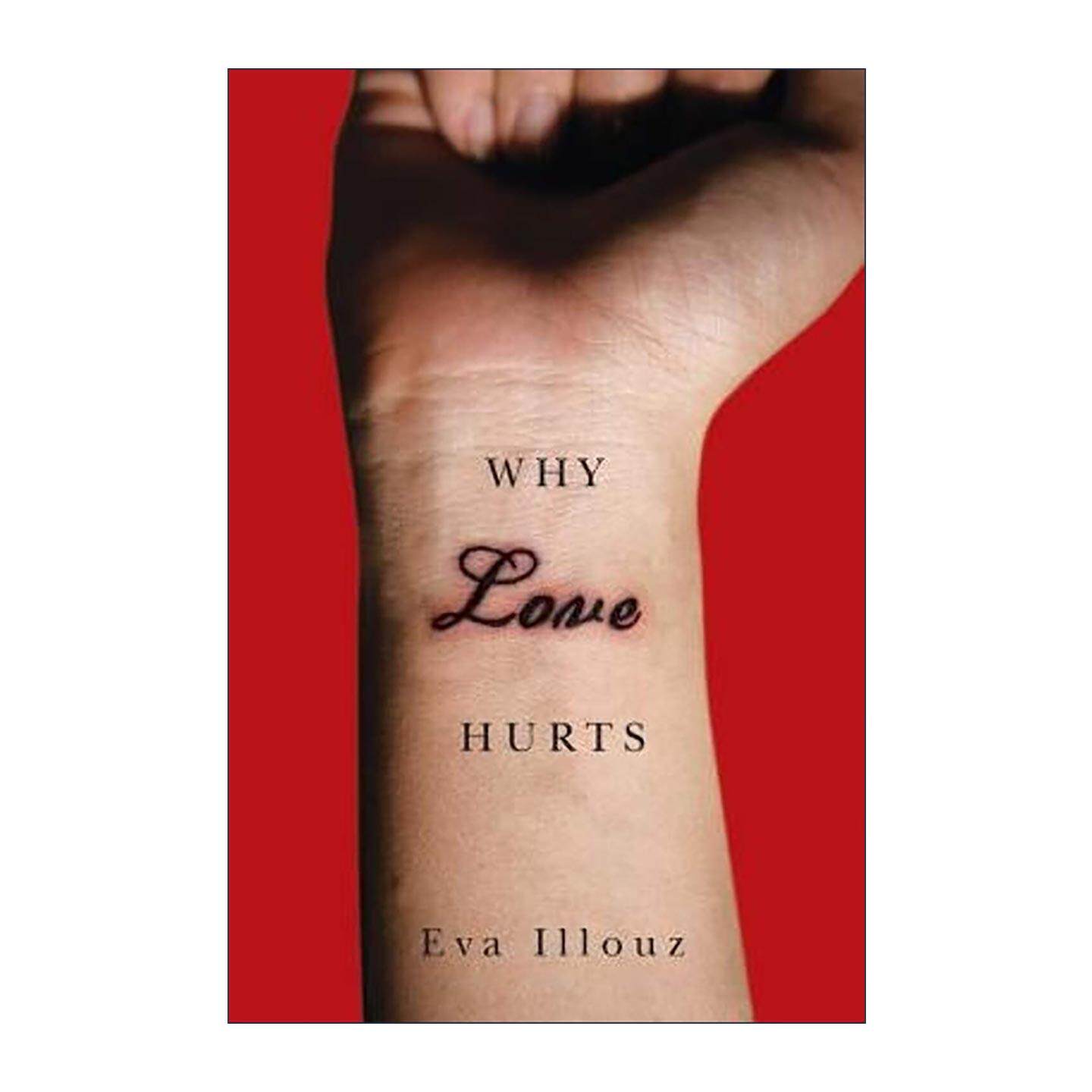 英文原版 Why Love Hurts 爱为什么痛 伊娃·易洛思 英文版 进口英语原版书籍