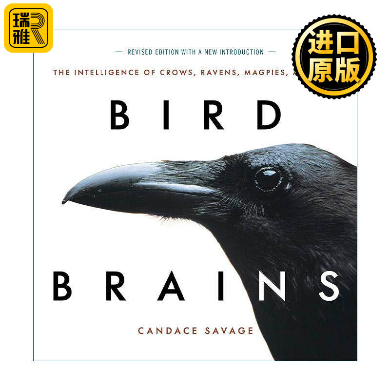 英文原版 Bird Brains 鸟的大脑 乌鸦 渡鸦 喜鹊和松鸦的智慧 观鸟指南 乌鸦简史作者Candace Savage 英文版 进口英语原版书籍