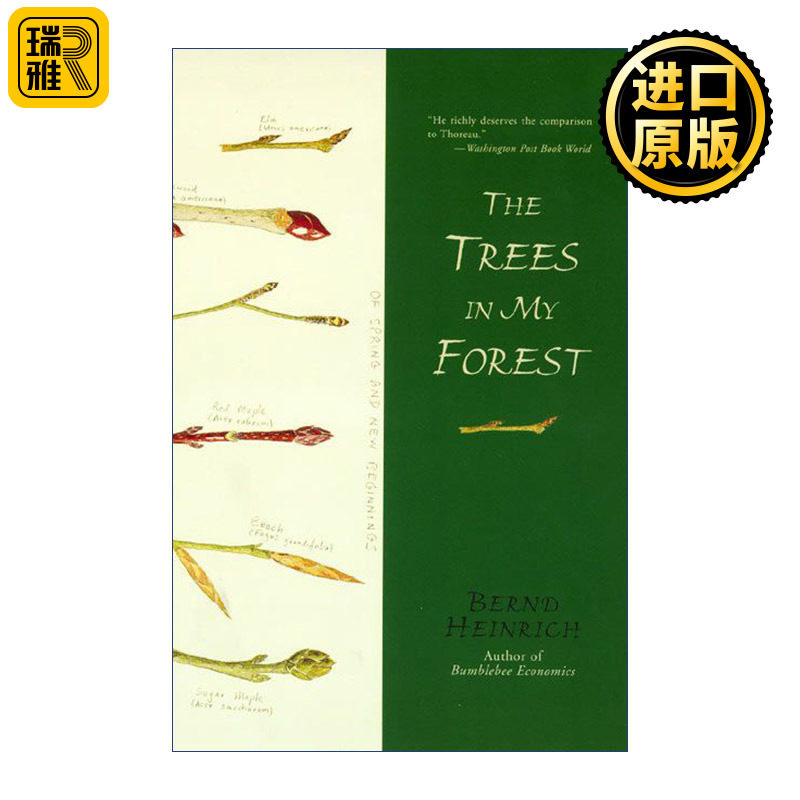 The Trees in My Forest 森林的故事 英格兰图书奖 费尔班克斯博物馆奖 佛蒙特大学生物系教授 Bernd Heinrich图片