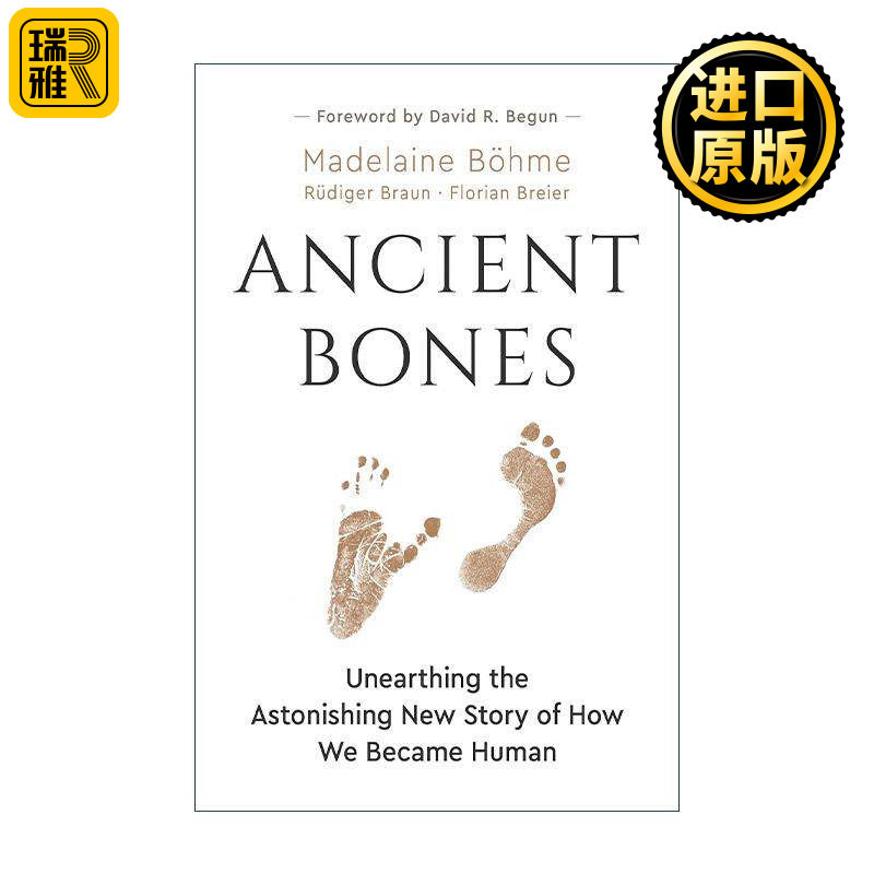 英文原版 Ancient Bones 古老骨骼 揭示我们如何成为人类的惊人新故事 古生物学 Madelaine B?hme 英文版 进口英语原版书籍