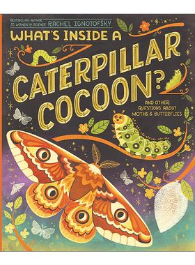 英文原版 What's Inside a Caterpillar Cocoon 毛毛虫的构造 儿童自然昆虫科普百科绘本 Rachel Ignotofsky 进口英语原版书籍
