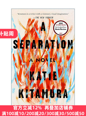 A Separation 漫长的分离 凯蒂·北村Katie Kitamura