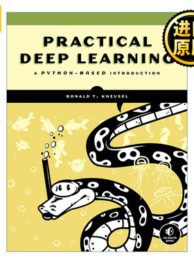 英文原版 Practical Deep Learning python Ronald T. Kneusel