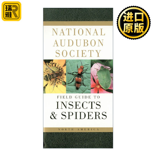 英文原版National Audubon Society Field Guide to Insects and Spiders全美奥杜邦协会北美昆虫与蜘蛛野外指南 英文版进口英语书