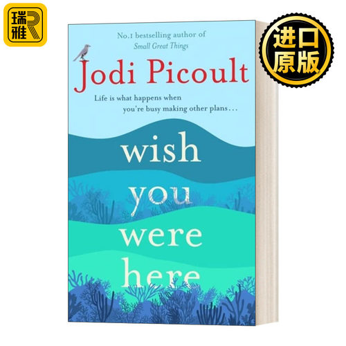 Wish You Were Here 希望你在这里 朱迪皮考特 英文原版