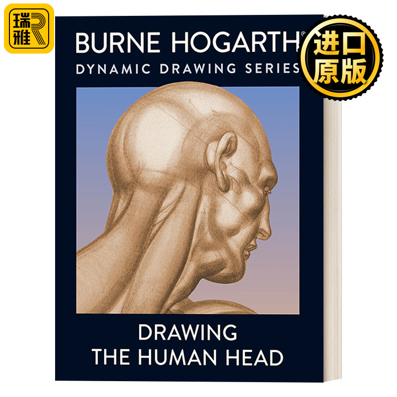 绘制人体头部绘画指南艺术