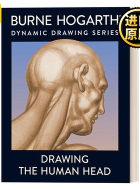Drawing the Human Head 绘制人体头部 绘画指南 艺术 Burne Hogarth