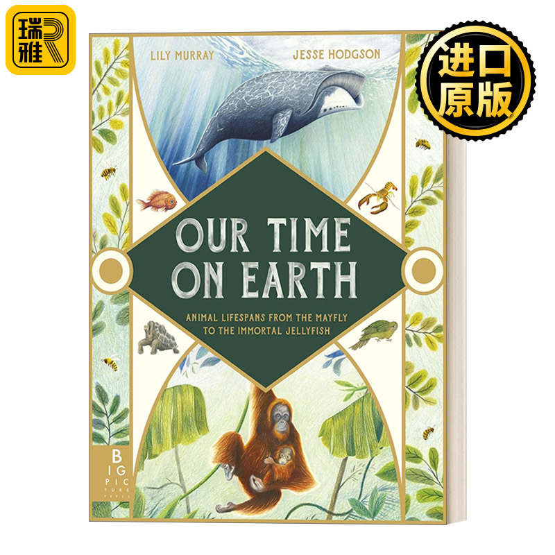 Our Time On Earth 地球的时间轨迹 精装 Lily Murray , Jesse Hodgson 书籍/杂志/报纸 儿童读物原版书 原图主图