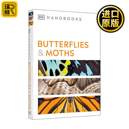Handbooks Butterflies and Moths 蝴蝶和飞蛾 DK自然百科指南