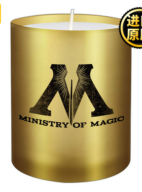 英文原版 Harry Potter: Ministry of Magic Glass Votive Candle 85