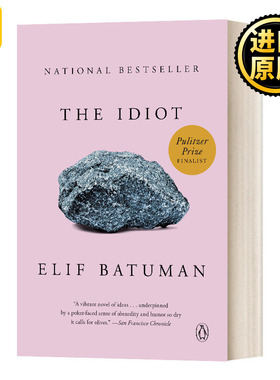白痴 英文原版小说 The Idiot 现代小说 2018普利策小说奖入围 英文版 Elif Batuman 进口英语原版书籍