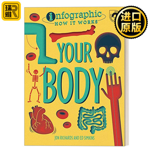 Infographic: How It Works: Your Body 信息图系列 身体是如何工作的