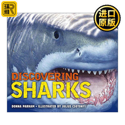 英文原版 Discovering Sharks 发现鲨鱼 精装 儿童科普 英文版 进口英语原版书籍