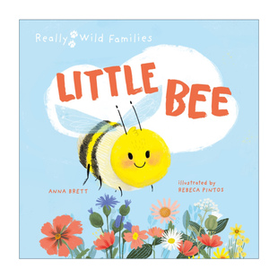 英文原版 Little Bee A Day in the Life of the Bee Brood 小蜜蜂的一天 儿童动物精装绘本 Really Wild Families 进口英语书籍