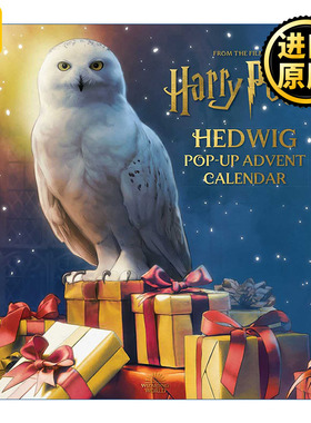 Harry Potter: Hedwig PopUp Advent Calendar 英文原版