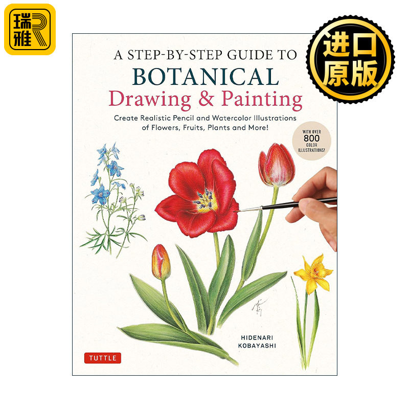 英文原版 A Step-by-Step Guide to Botanical Drawing and Painting 植物绘画分步指南 蔬菜水果花卉 铅笔水彩插画技巧