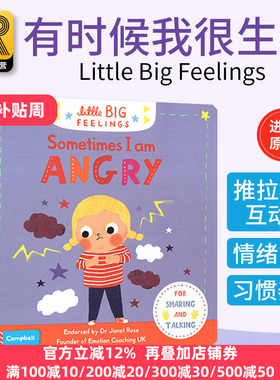 Little Big Feelings Sometimes I Am Angry 有时候我很生气 幼儿情绪绘本