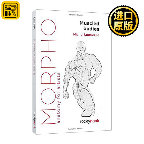 艺术家解剖学肌肉发达的身体