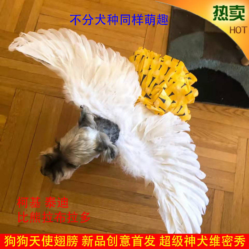 新品狗狗羽毛翅膀柯基泰迪比熊边牧背饰宠物天使飞天狗翅膀道具
