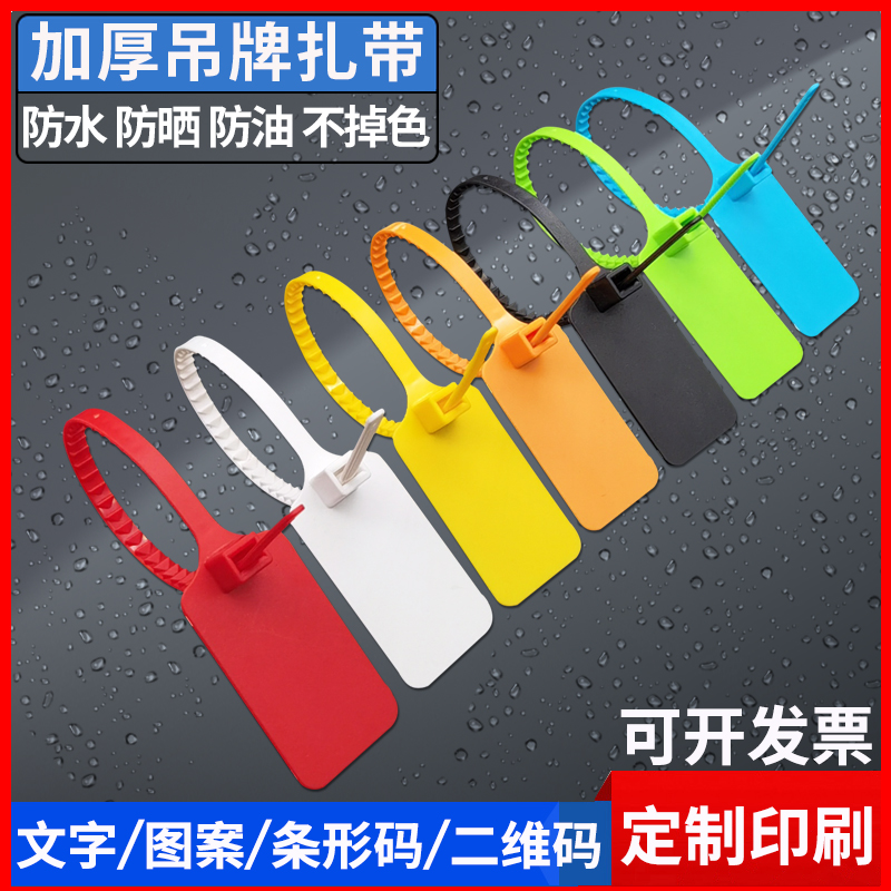 一次性塑料封条防盗扣电缆标识牌物流吊牌挂签标牌扎带标签牌定制