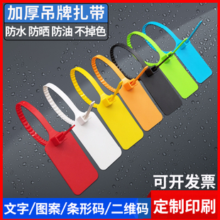 一次性塑料封条防盗扣电缆标识牌物流吊牌挂签标牌扎带标签牌定制