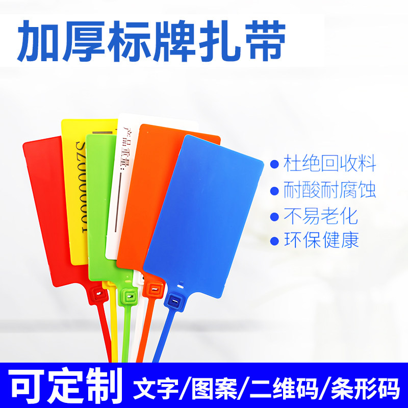 一次性塑料封条大号标牌扎带物流吊牌挂签标识牌果树园林标签定制