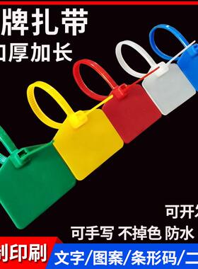 30X20彩色尼龙防水标签扎带网线记号标识牌电线电缆塑料封条标牌