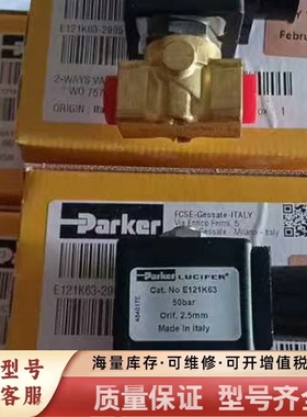 非标价E121K63电磁阀